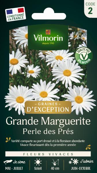 Fleurs - Grande Marguerite Perle des Prés - Graines d'Exception - PACKAGING_RECTO